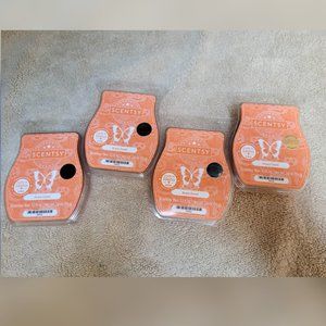 Lot of 4 Scentsy Wax Bars - Scary Good